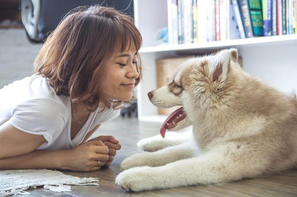 pros and cons of being a dog owner