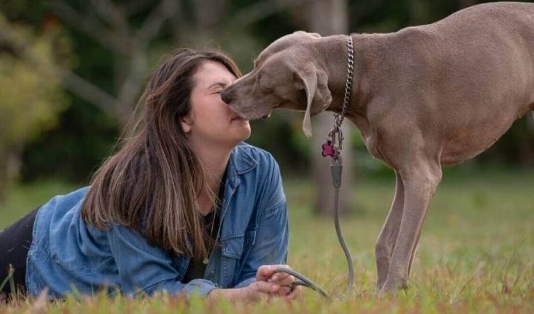 Dog Sniff My Eyes